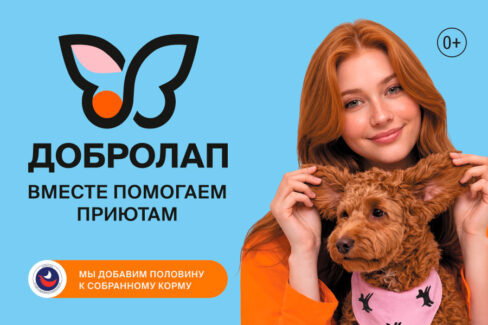ДОБРОЛАП: 20 РАЗ ДАРИМ ДОБРО — И НЕ СОБИРАЕМСЯ ОСТАНАВЛИВАТЬСЯ! ❤️ Гагарин