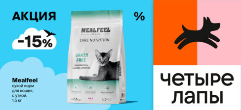 ВКУСНЫЙ АВГУСТ: СКИДКА 15 % НА СУХОЙ КОРМ MEALFEEL ДЛЯ КОШЕК! 🐱 Гагарин